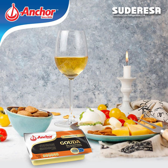 Suderesa-Anchor-Gouda